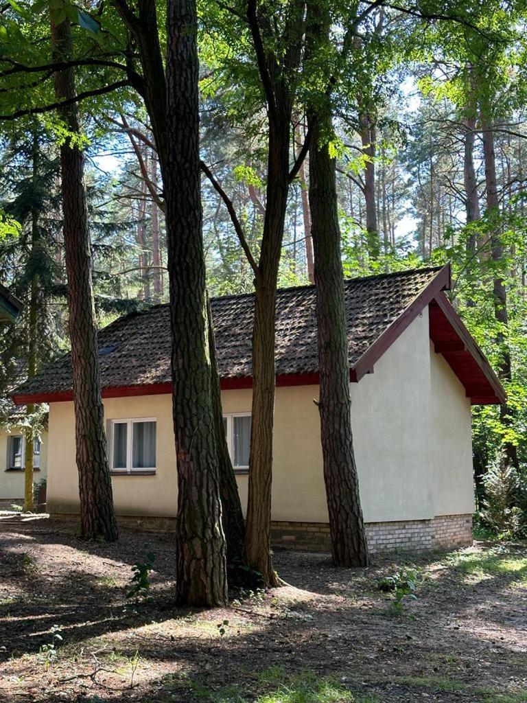Summer House Lubniewice Kültér fotó